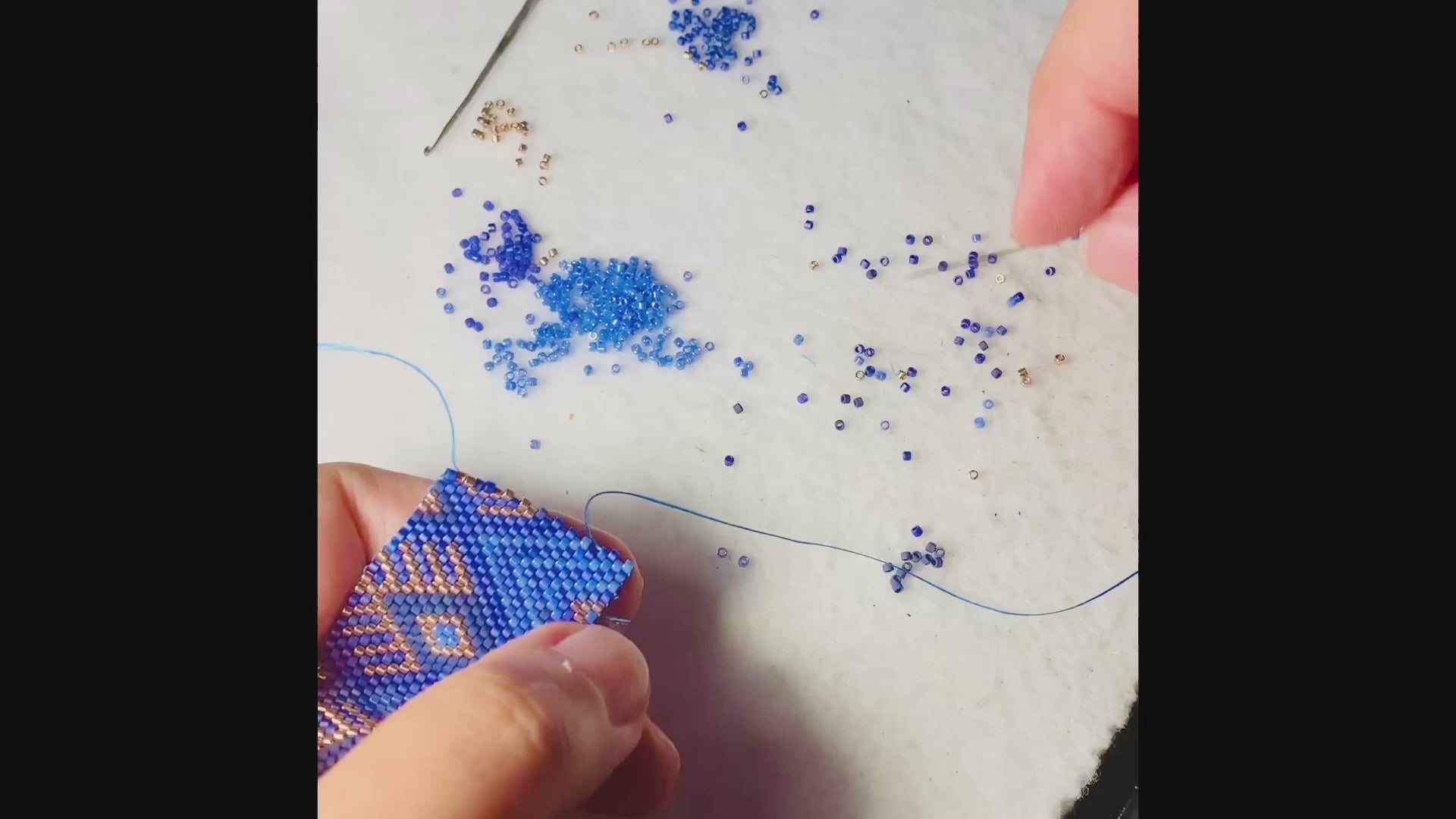 Carica il video: 